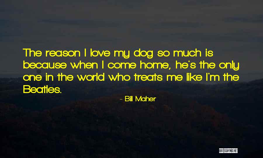 Bielenberg Park Quotes By Bill Maher Bielenberg Park Quotes By Bill Maher
