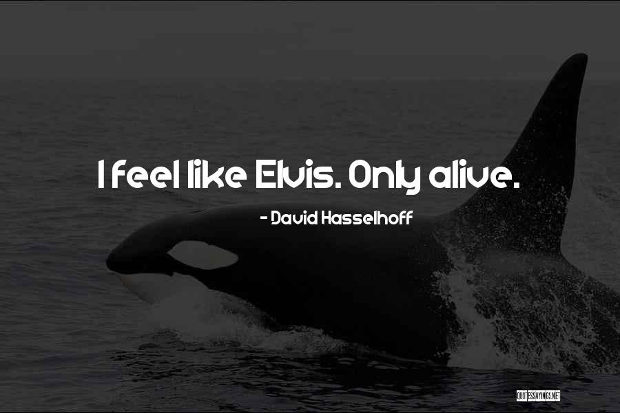 Biellmann Gordeeva Quotes By David Hasselhoff Biellmann Gordeeva Quotes By David Hasselhoff