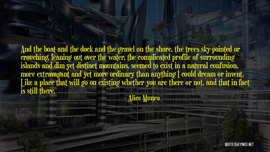 Bienal De Flamenco Quotes By Alice Munro Bienal De Flamenco Quotes By Alice Munro
