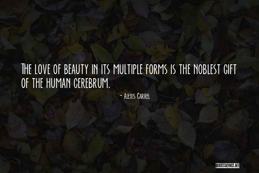 Bienkowska Elzbieta Quotes By Alexis Carrel Bienkowska Elzbieta Quotes By Alexis Carrel