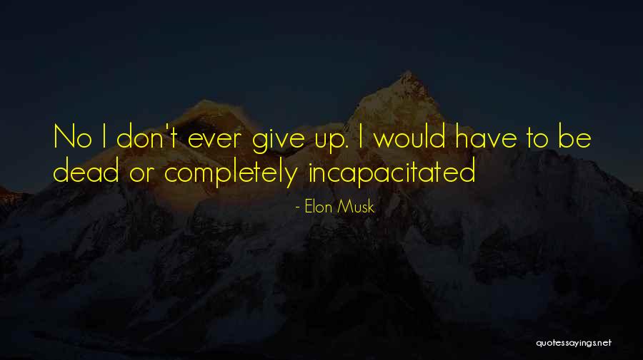 Bienvenido Granda Quotes By Elon Musk