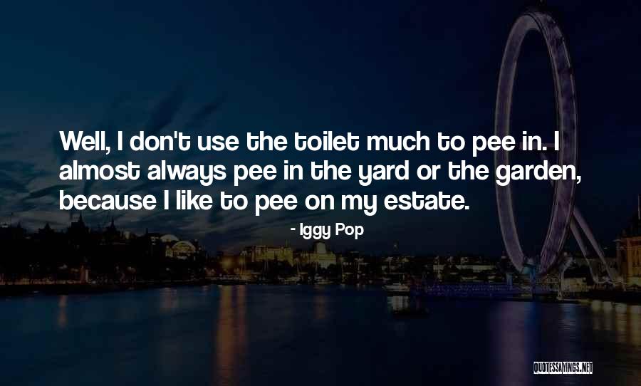 Bienvenu Quotes By Iggy Pop Bienvenu Quotes By Iggy Pop
