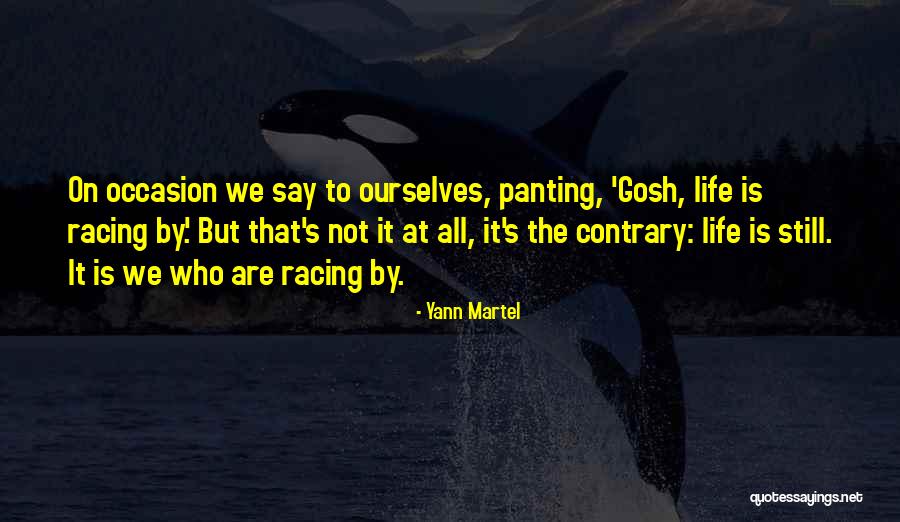 Biermerk Quotes By Yann Martel Biermerk Quotes By Yann Martel