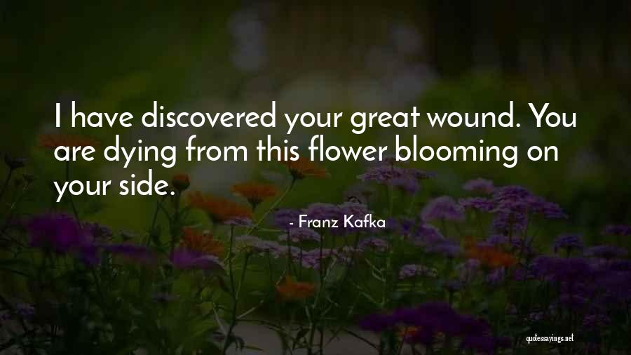 Biernat Quotes By Franz Kafka Biernat Quotes By Franz Kafka