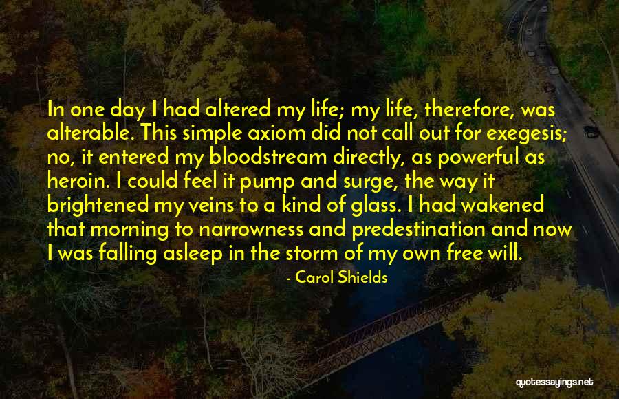 Biersack Well Service Quotes By Carol Shields Biersack Well Service Quotes By Carol Shields