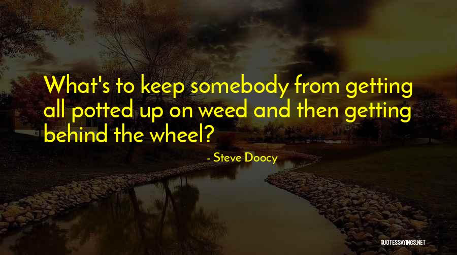 Biesiada Bez Quotes By Steve Doocy Biesiada Bez Quotes By Steve Doocy