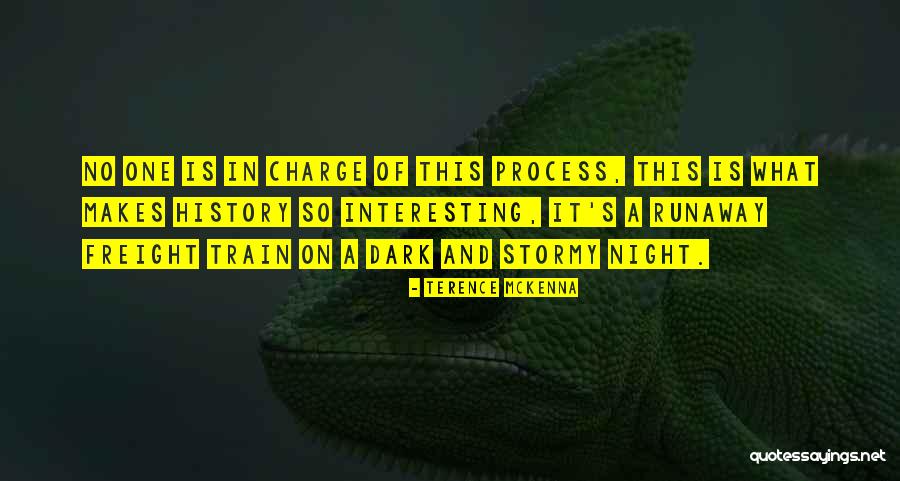 Biest Quotes By Terence McKenna Biest Quotes By Terence McKenna