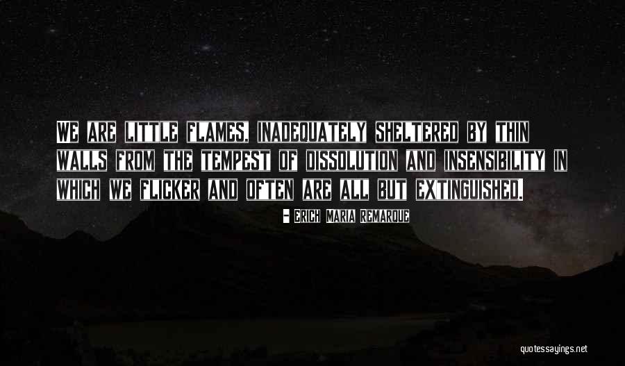 Bietensalade Quotes By Erich Maria Remarque Bietensalade Quotes By Erich Maria Remarque