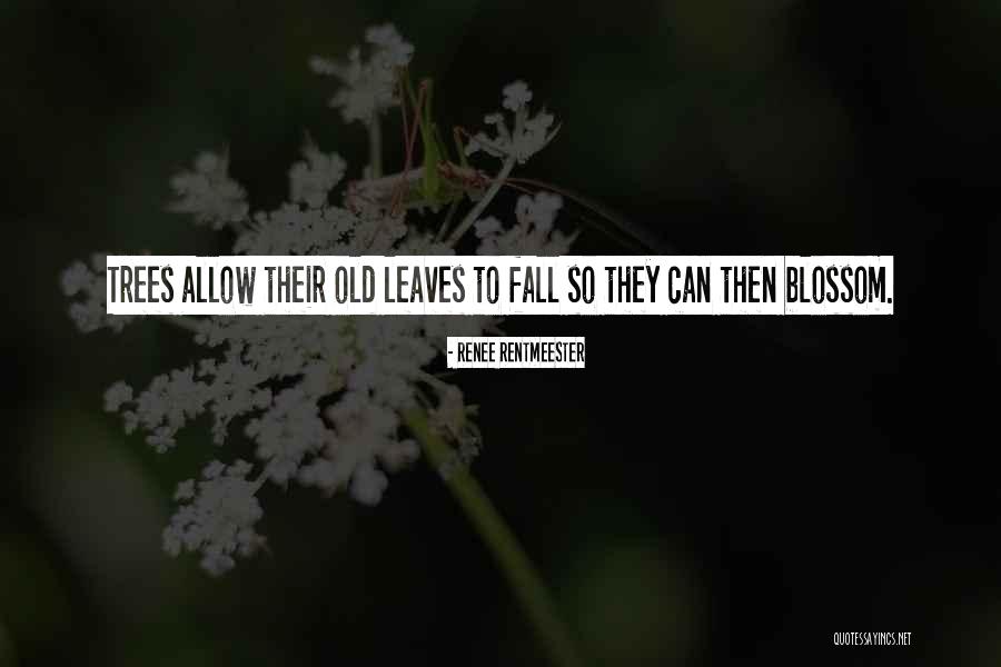 Bifocals Online Quotes By Renee Rentmeester