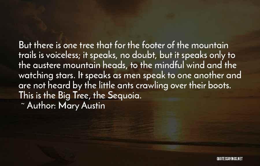 Big And Little Quotes By Mary Austin