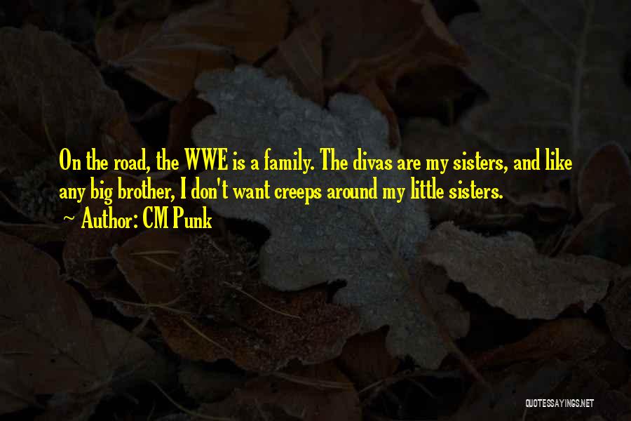 Big And Little Sisters Quotes By CM Punk