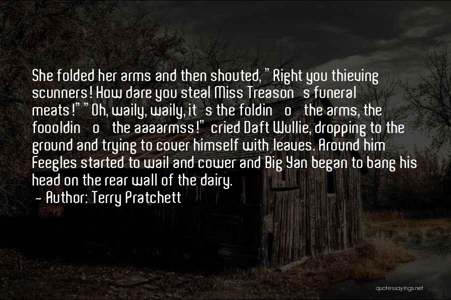 Big Arms Quotes By Terry Pratchett