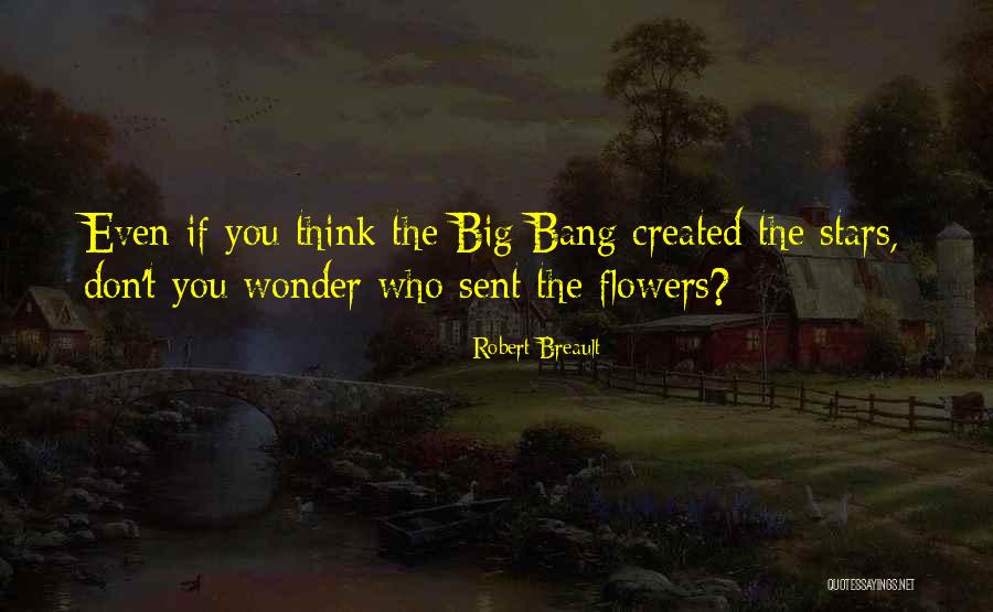 Big Bang Quotes By Robert Breault Big Bang Quotes By Robert Breault