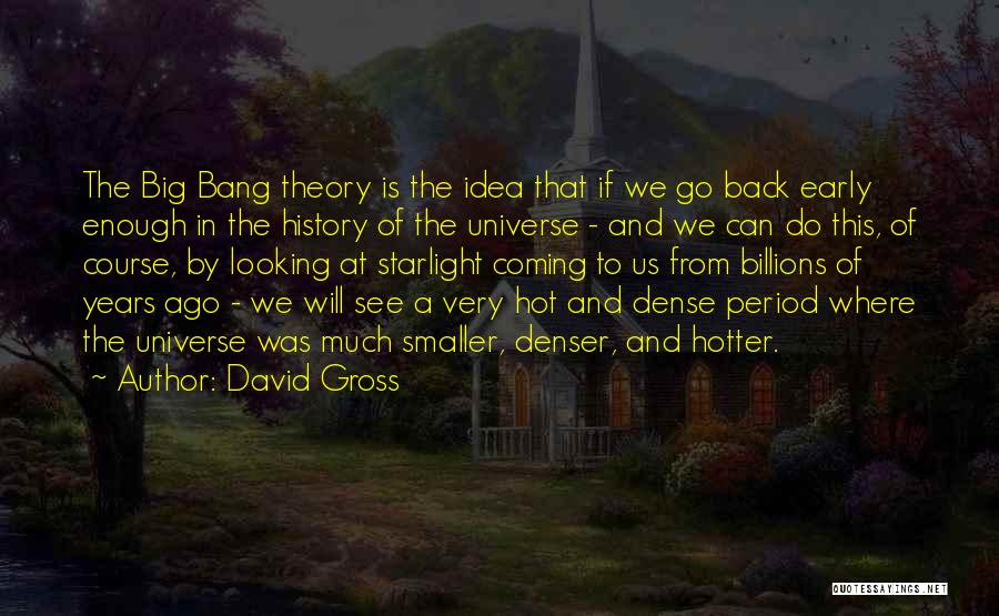 Big Bang Theory Quotes By David Gross