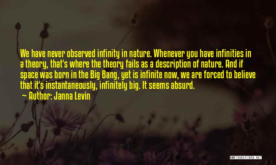 Big Bang Theory Quotes By Janna Levin