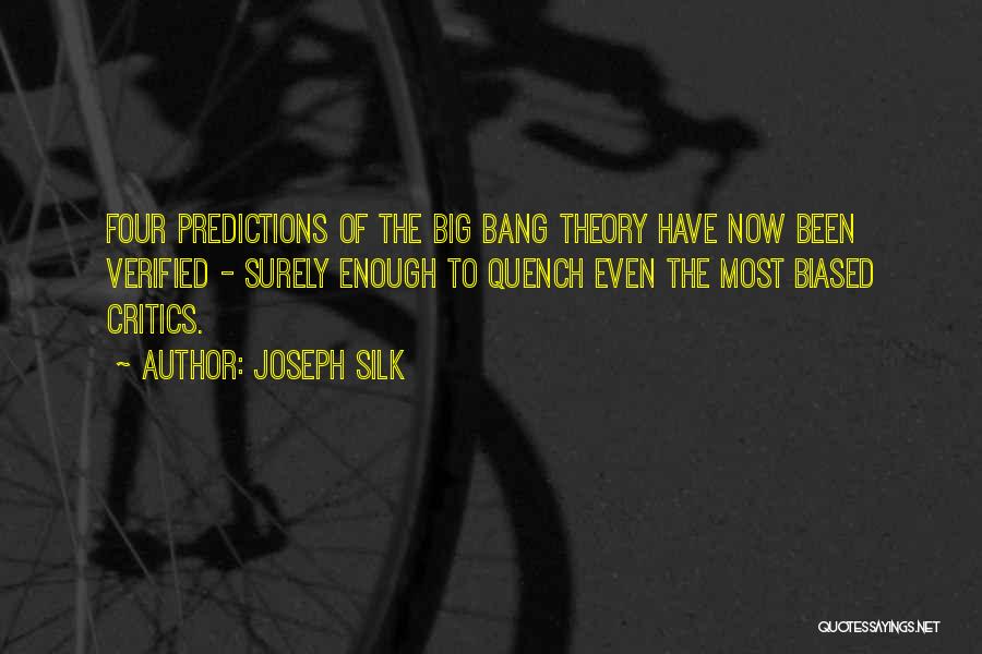 Big Bang Theory Quotes By Joseph Silk