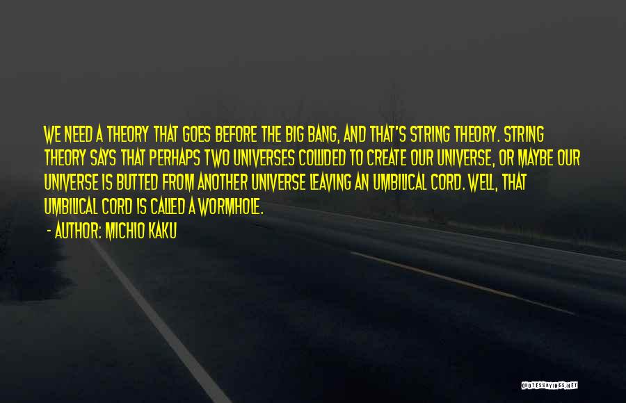 Big Bang Theory Quotes By Michio Kaku