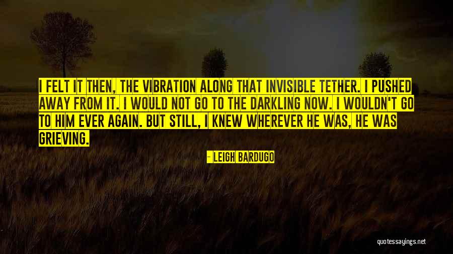 Big Bang Theory The Misinterpretation Agitation Quotes By Leigh Bardugo Big Bang Theory The Misinterpretation Agitation Quotes By Leigh Bardugo