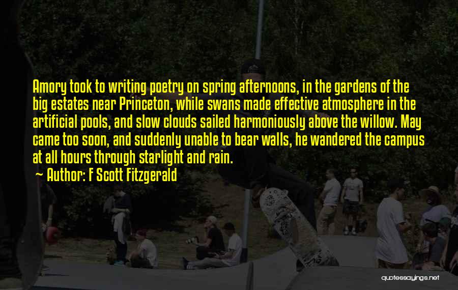 Big Bear Quotes By F Scott Fitzgerald