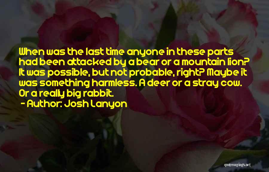 Big Bear Quotes By Josh Lanyon