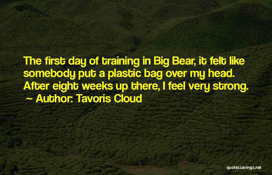 Big Bear Quotes By Tavoris Cloud