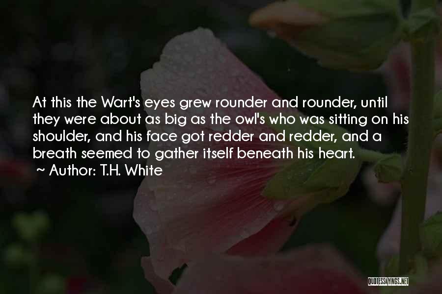 Big Beautiful Eyes Quotes By T.H. White