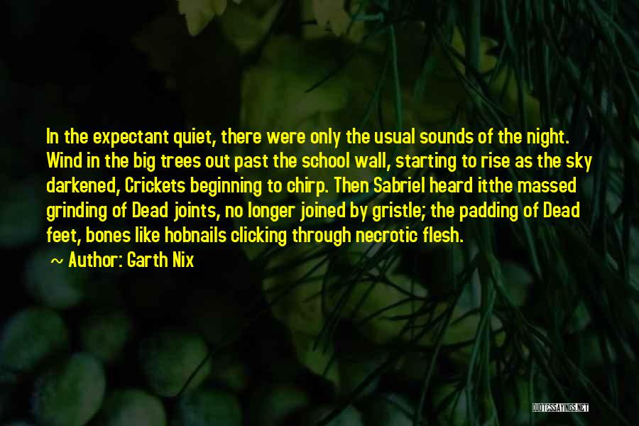 Big Big Quotes By Garth Nix