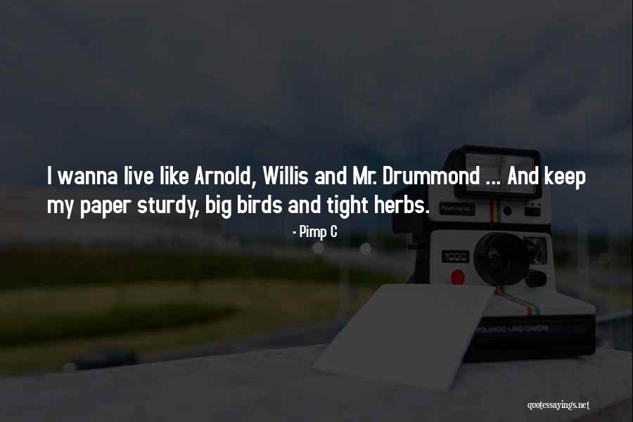 Big Bird Quotes By Pimp C Big Bird Quotes By Pimp C