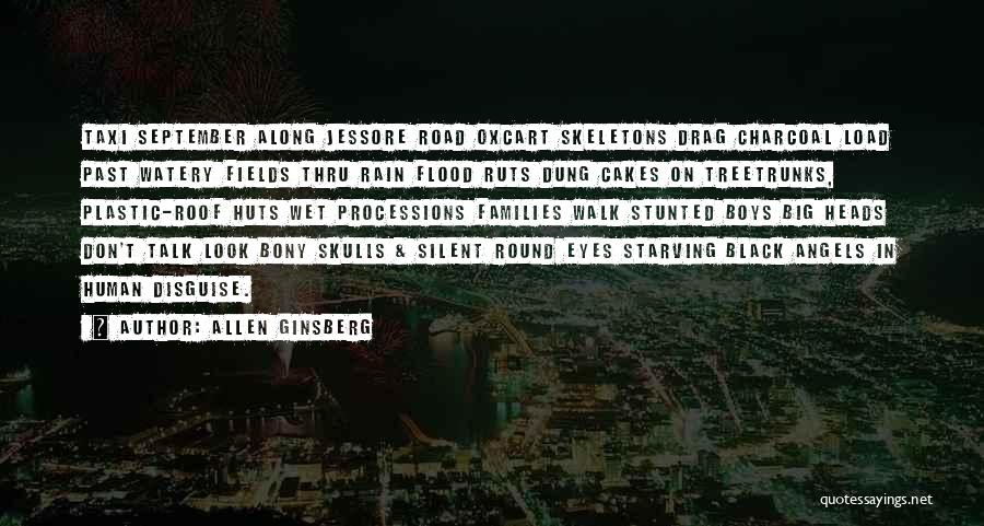 Big Black Eyes Quotes By Allen Ginsberg