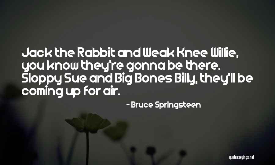 Big Bones Quotes By Bruce Springsteen Big Bones Quotes By Bruce Springsteen