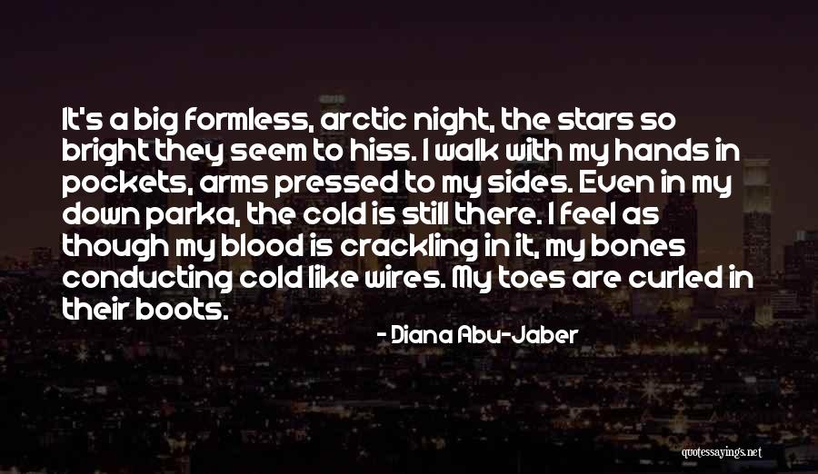 Big Bones Quotes By Diana Abu-Jaber Big Bones Quotes By Diana Abu-Jaber
