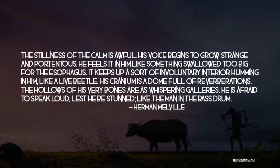 Big Bones Quotes By Herman Melville Big Bones Quotes By Herman Melville