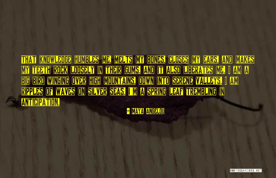 Big Bones Quotes By Maya Angelou Big Bones Quotes By Maya Angelou