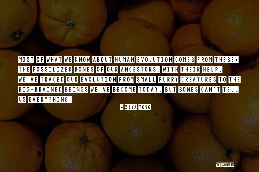 Big Bones Quotes By Ziya Tong Big Bones Quotes By Ziya Tong
