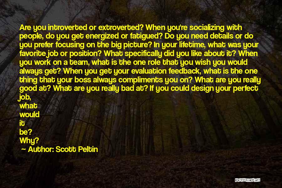 Big Boss Quotes By Scott Peltin