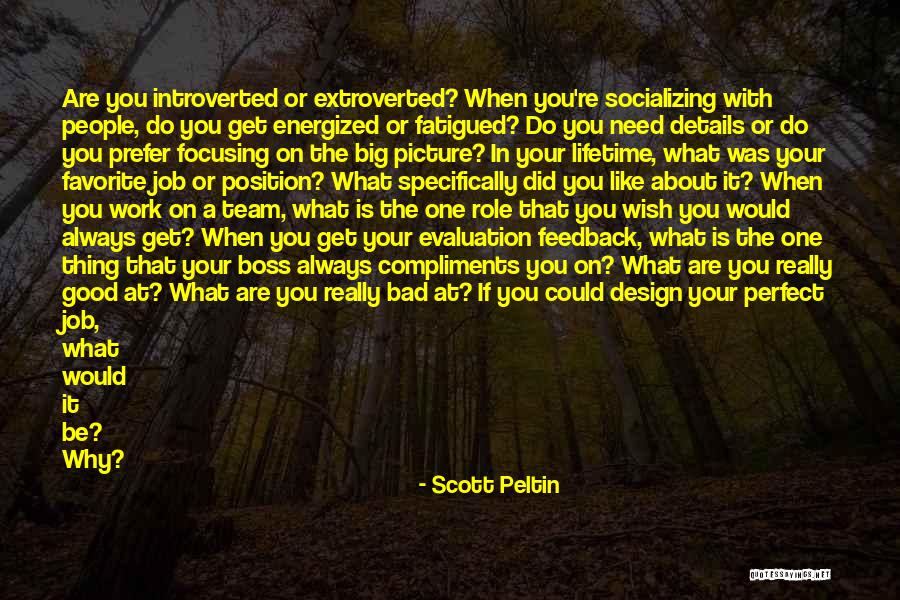 Big Boss Quotes By Scott Peltin