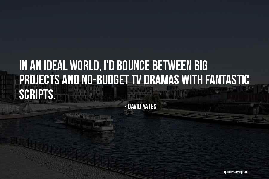 Big Bounce Quotes By David Yates