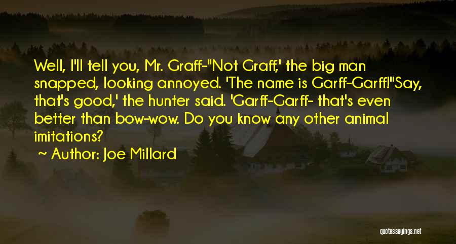 Big Bow Quotes By Joe Millard