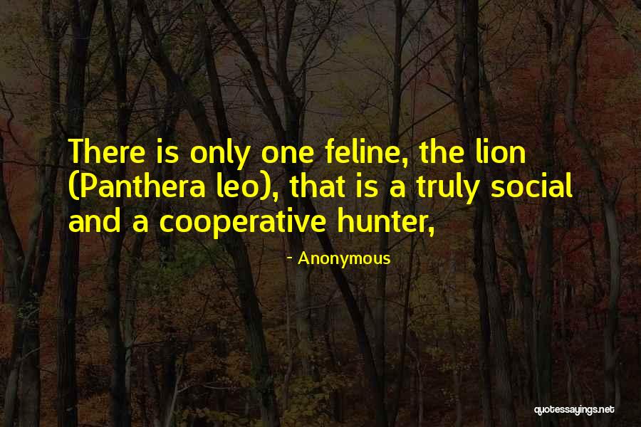 Big Boy Already Quotes By Anonymous