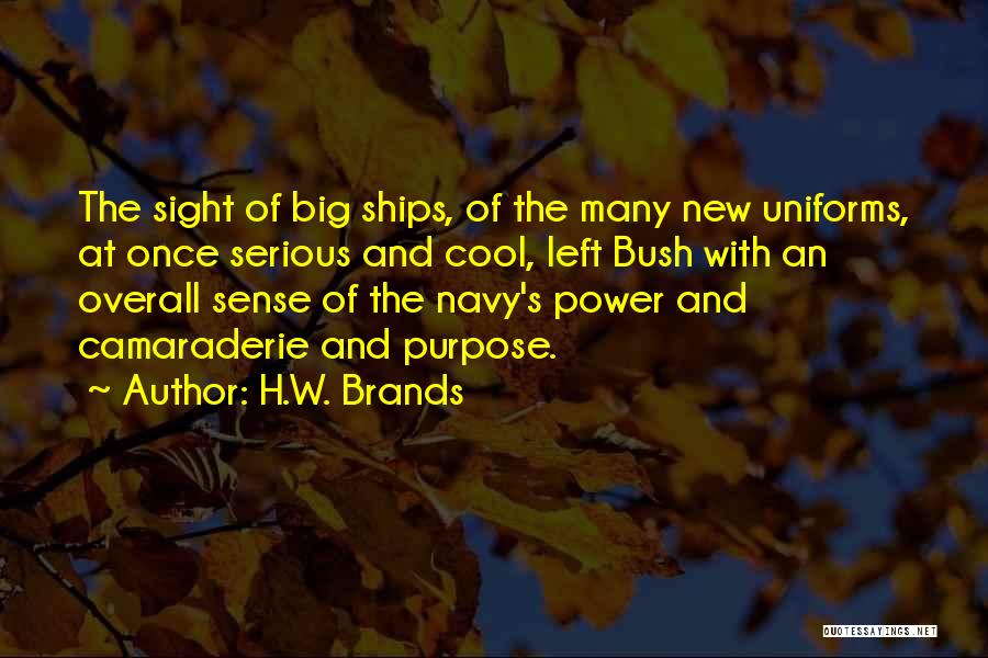 Big Brands Quotes By H.W. Brands