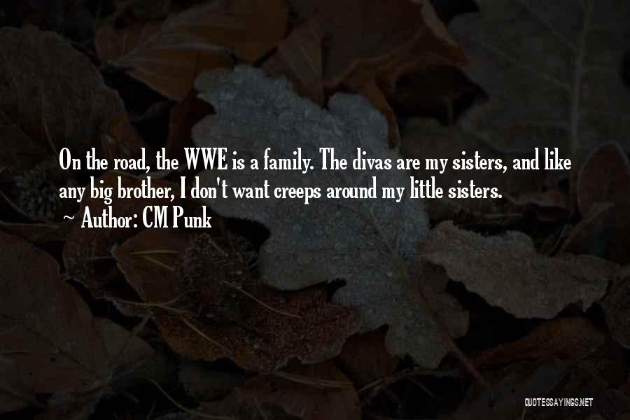Big Brother And Little Sister Quotes By CM Punk