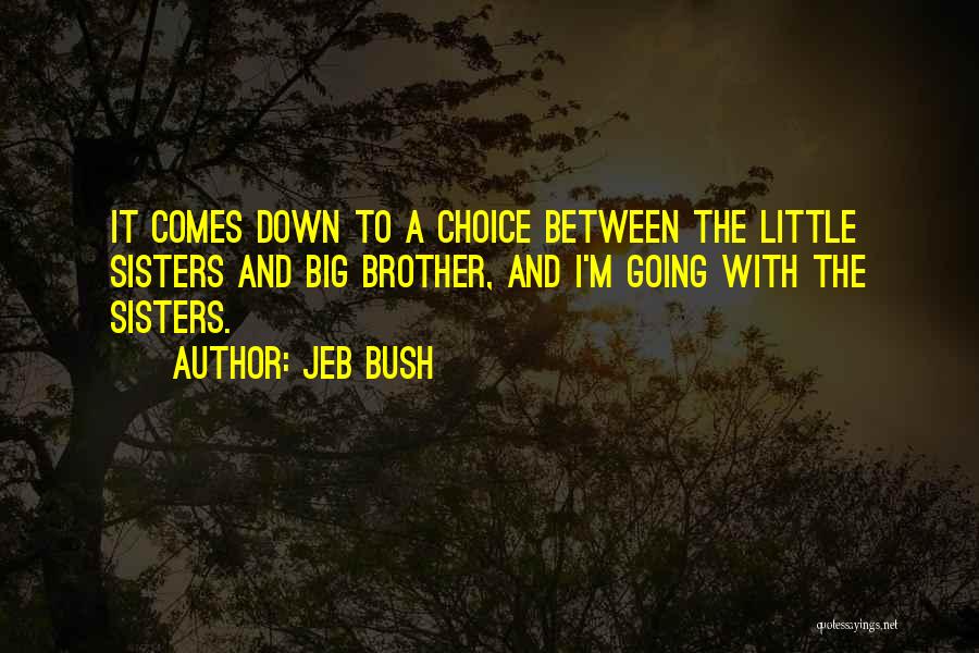 Big Brother And Little Sister Quotes By Jeb Bush