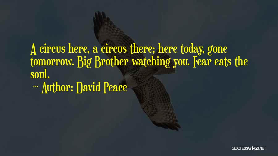 Big Brother Watching You Quotes By David Peace