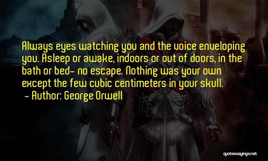 Big Brother Watching You Quotes By George Orwell