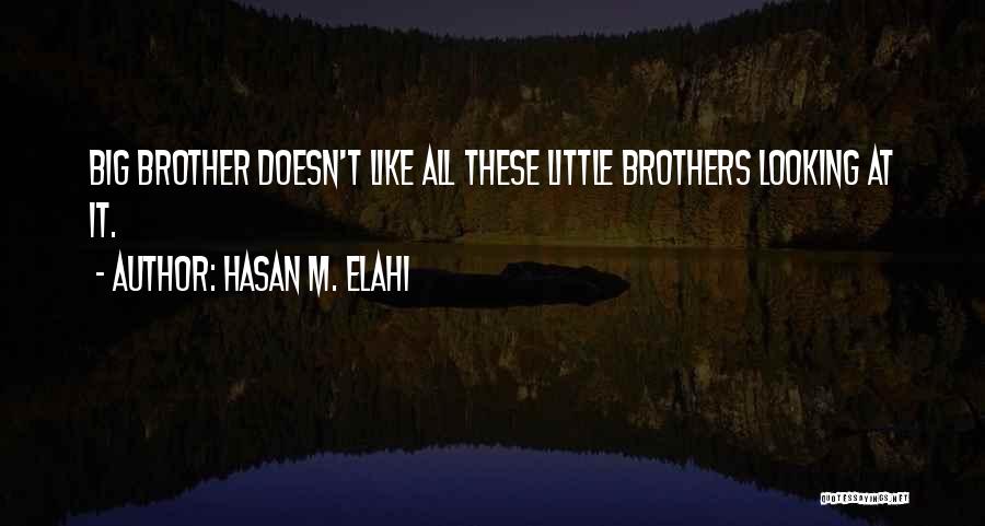 Big Brothers And Little Brothers Quotes By Hasan M. Elahi