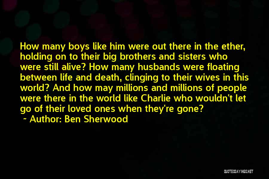 Big Brothers Big Sisters Quotes By Ben Sherwood
