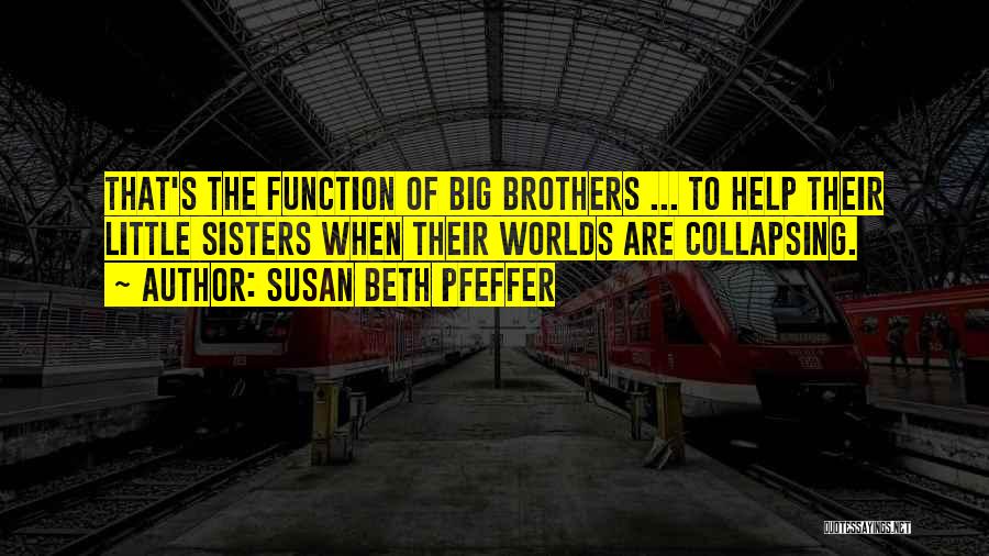 Big Brothers Big Sisters Quotes By Susan Beth Pfeffer