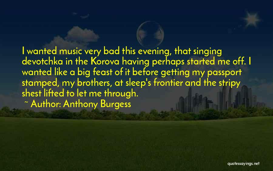 Big Brothers Quotes By Anthony Burgess