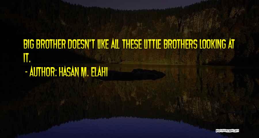 Big Brothers Quotes By Hasan M. Elahi