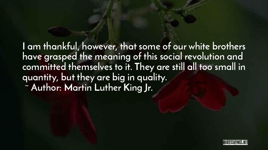 Big Brothers Quotes By Martin Luther King Jr.